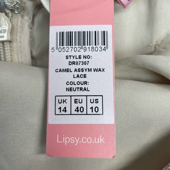 NWT LIPSY London Floral Lace Sheath Dress Sz 10 Neutral - Picture 5 of 5
